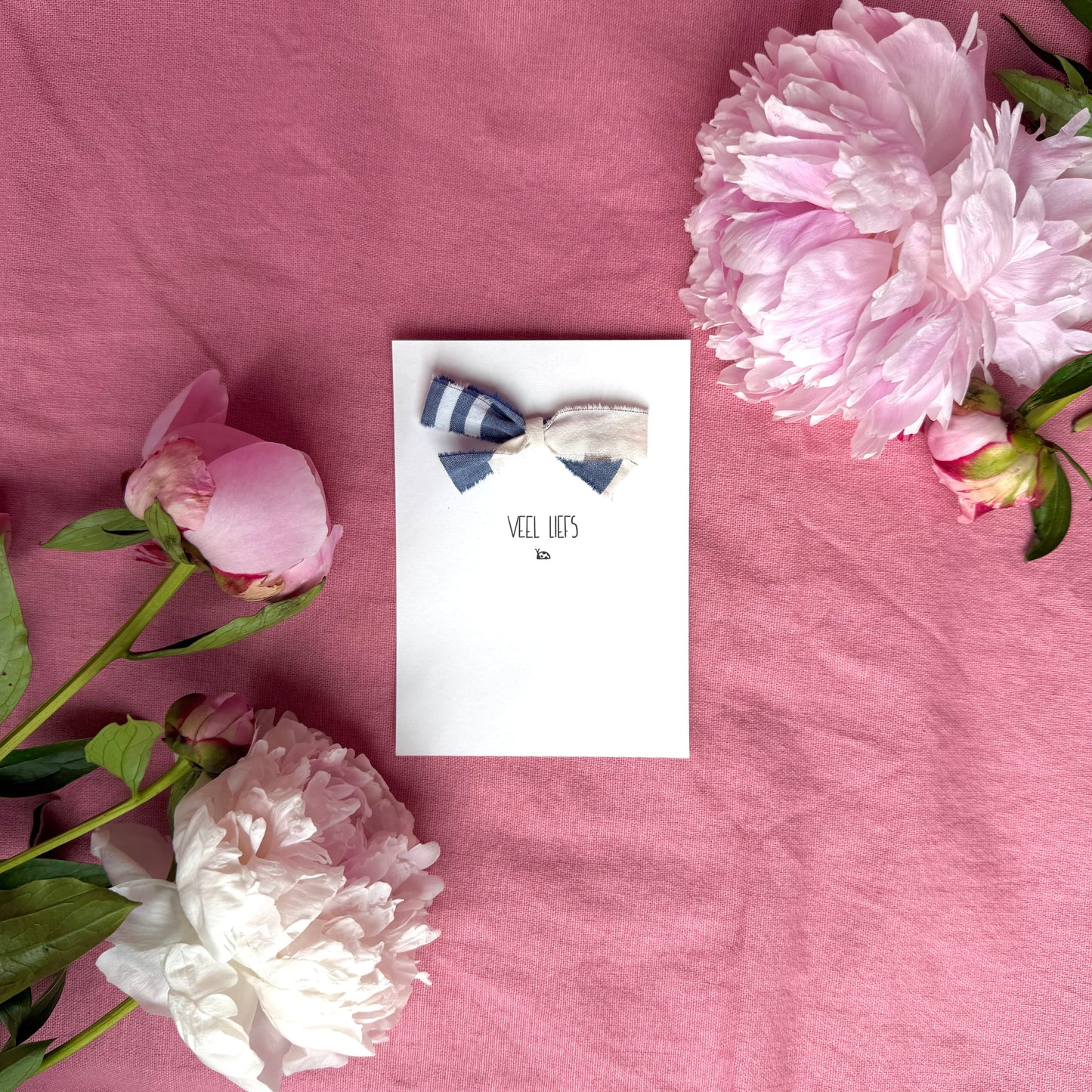 Greeting card - Veel liefs (ladybug)
