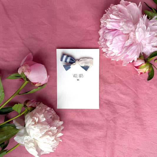 Greeting card - Veel liefs (ladybug)